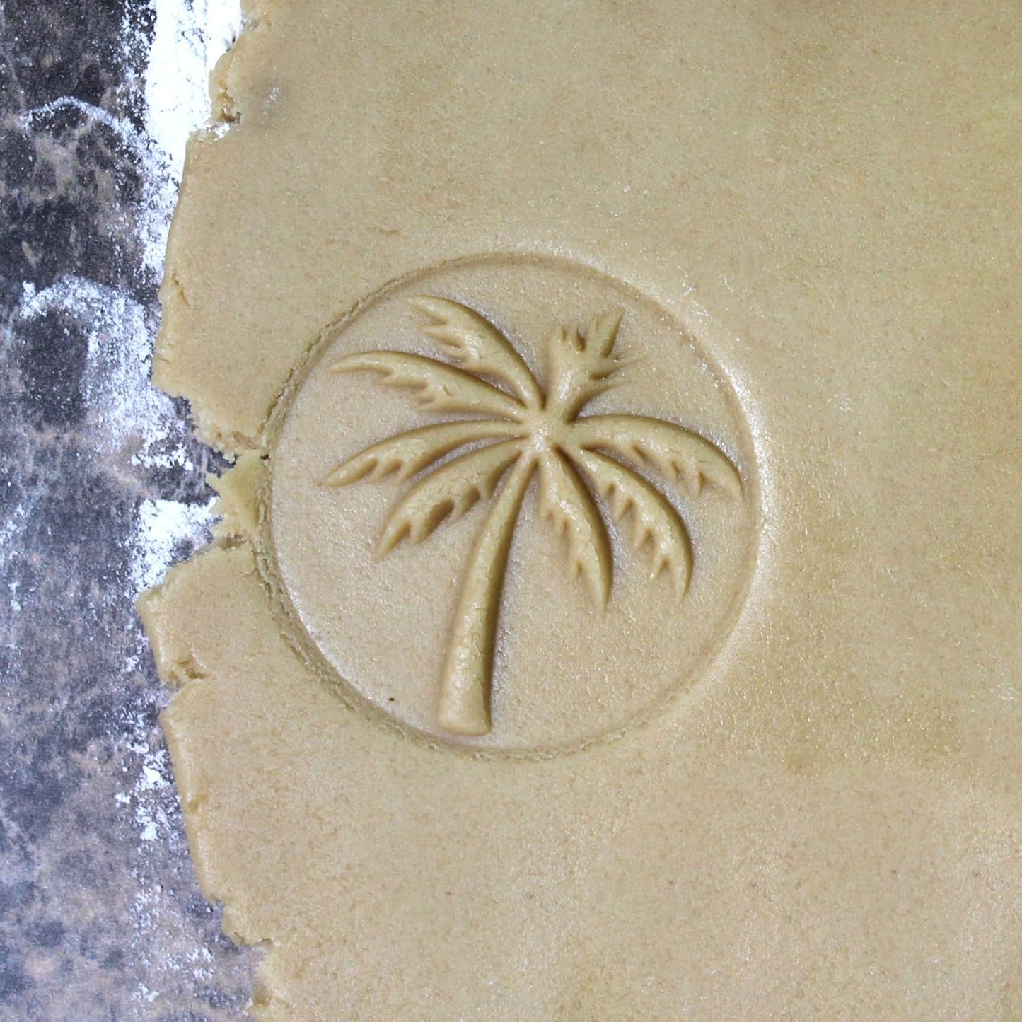 Wood Cookie Stamp, 2.5 Inch (Palm Tree CS 012)