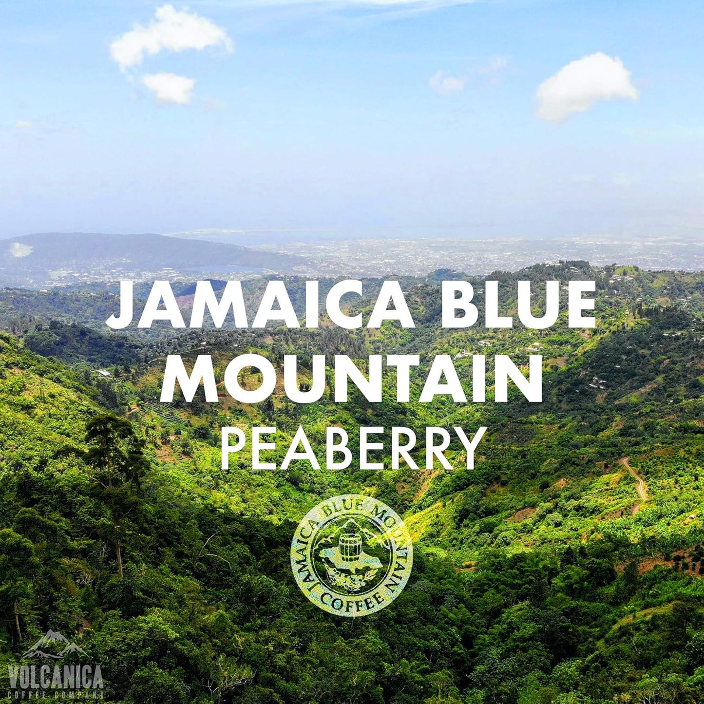 Jamaica Blue Mountain Peaberry Coffee, 100% Pure, Ground, Fresh Roasted, 5 lbs