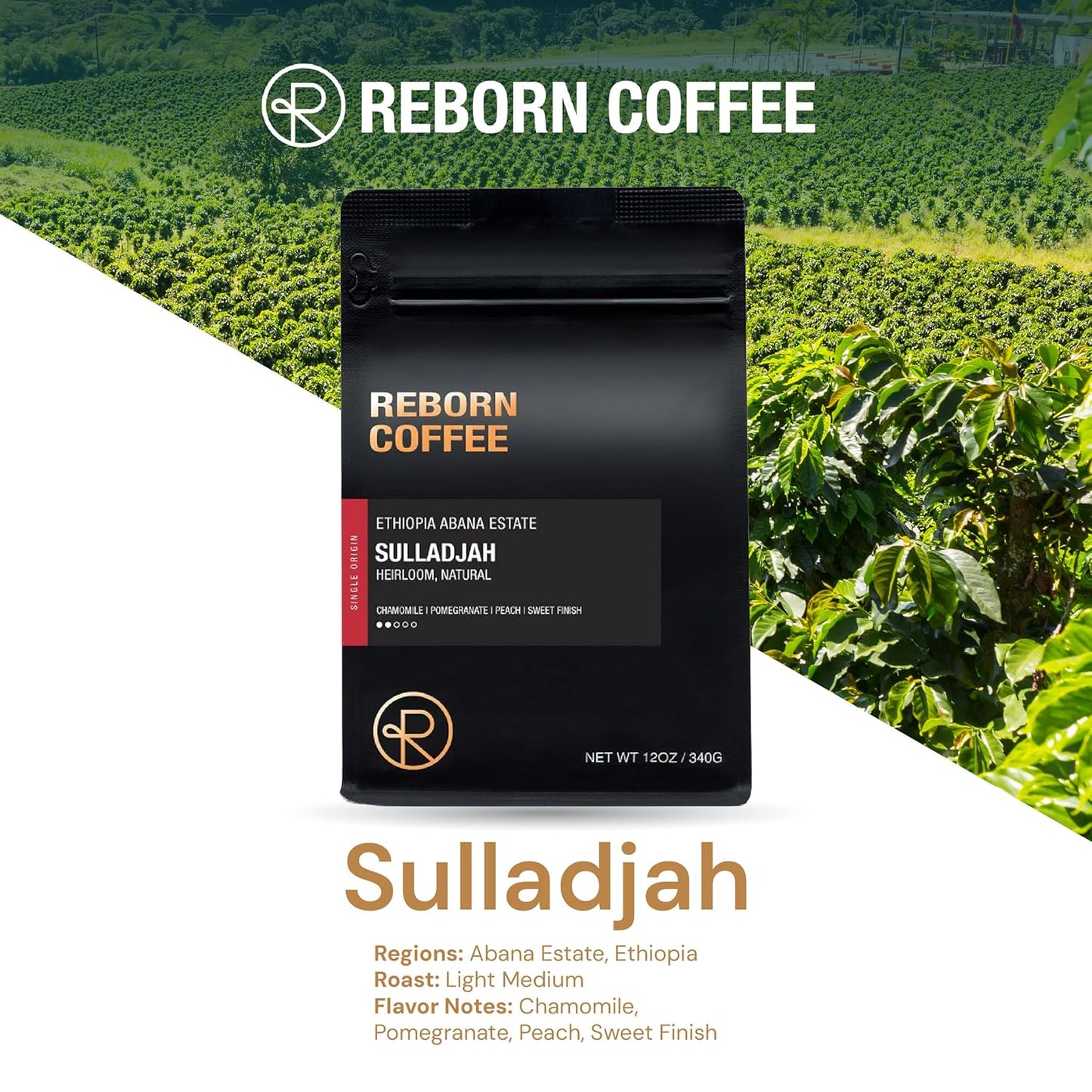 Reborn Coffee Specialty Whole Bean Coffee, Medium Roast, 12 Ounce, Ethiopia Abana Estate Sulladjah, Flavor Notes of Chamomile, Pomegranate, Peach, and Sweet Finish
