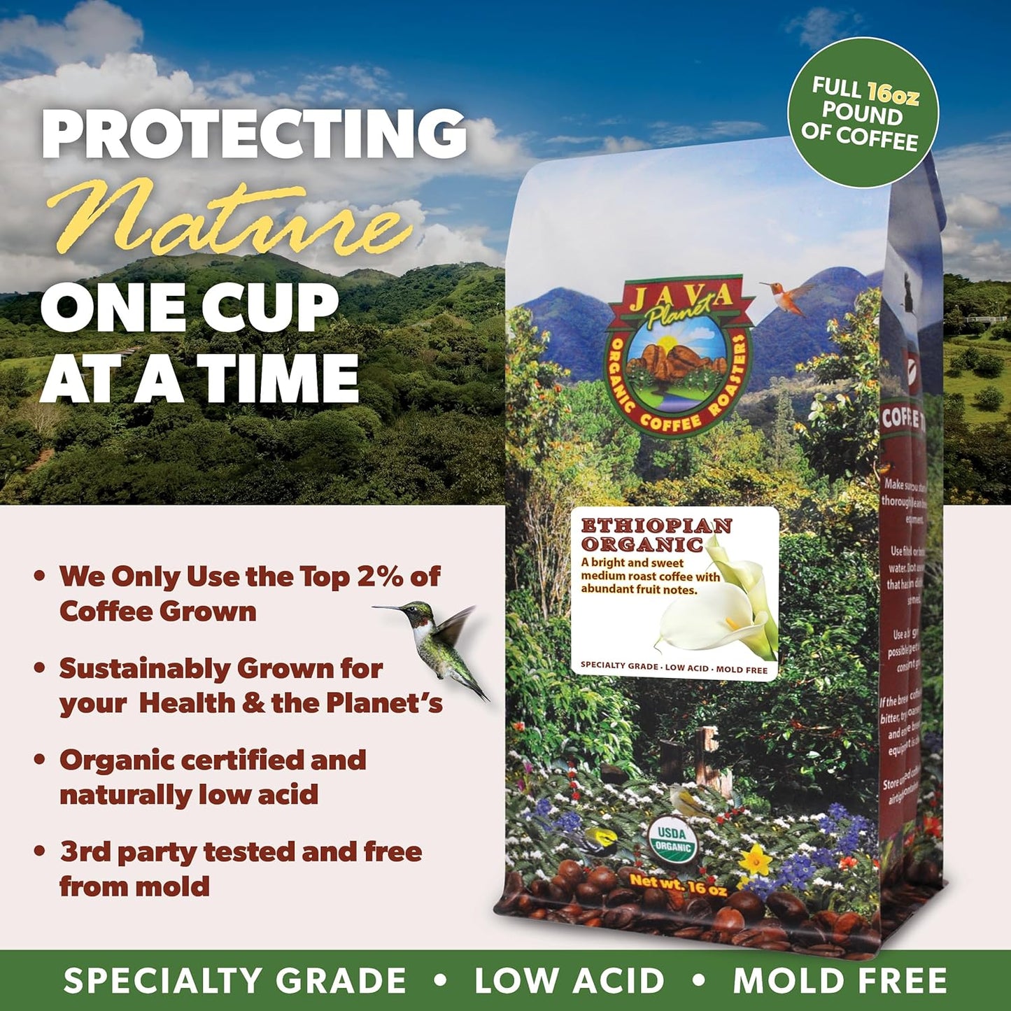 Low Acid Organic Coffee – Whole Bean, Mold-Free & Stomach Friendly by Java Planet, Ethiopian Single Origin Coffee, Medium Roast, Smooth Full Flavored, 5LB Bag