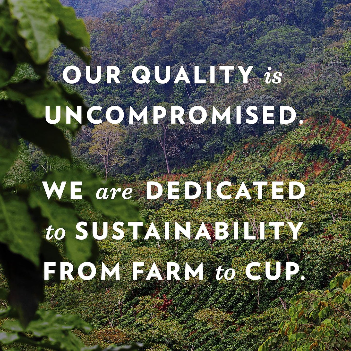 Community Coffee Vanilla Waffle Cone 60 Count Coffee Pods, Ice Cream Flavored, Compatible with Keurig 2.0 K-Cup Brewers, 10 Count (Pack of 6)